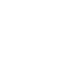Bonseyes