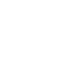 Diener Precision Pumps